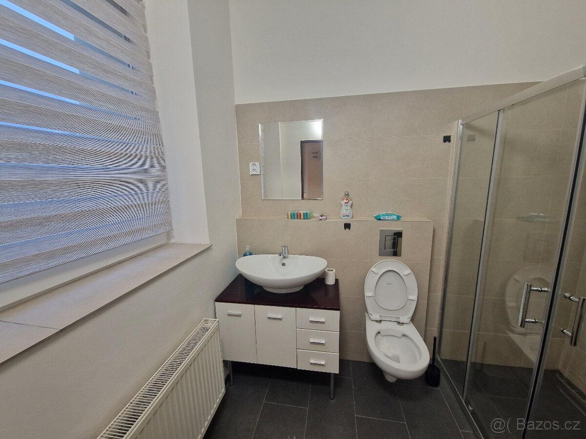 Pronájem bytu 1+KK v areálu PKNM – 35 m² - 3