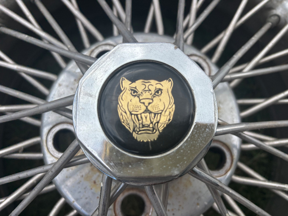 jaguar prodej - 3