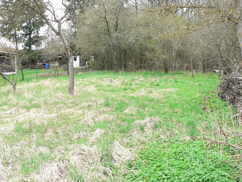 BLATNÁ - stavební pozemek - 3
