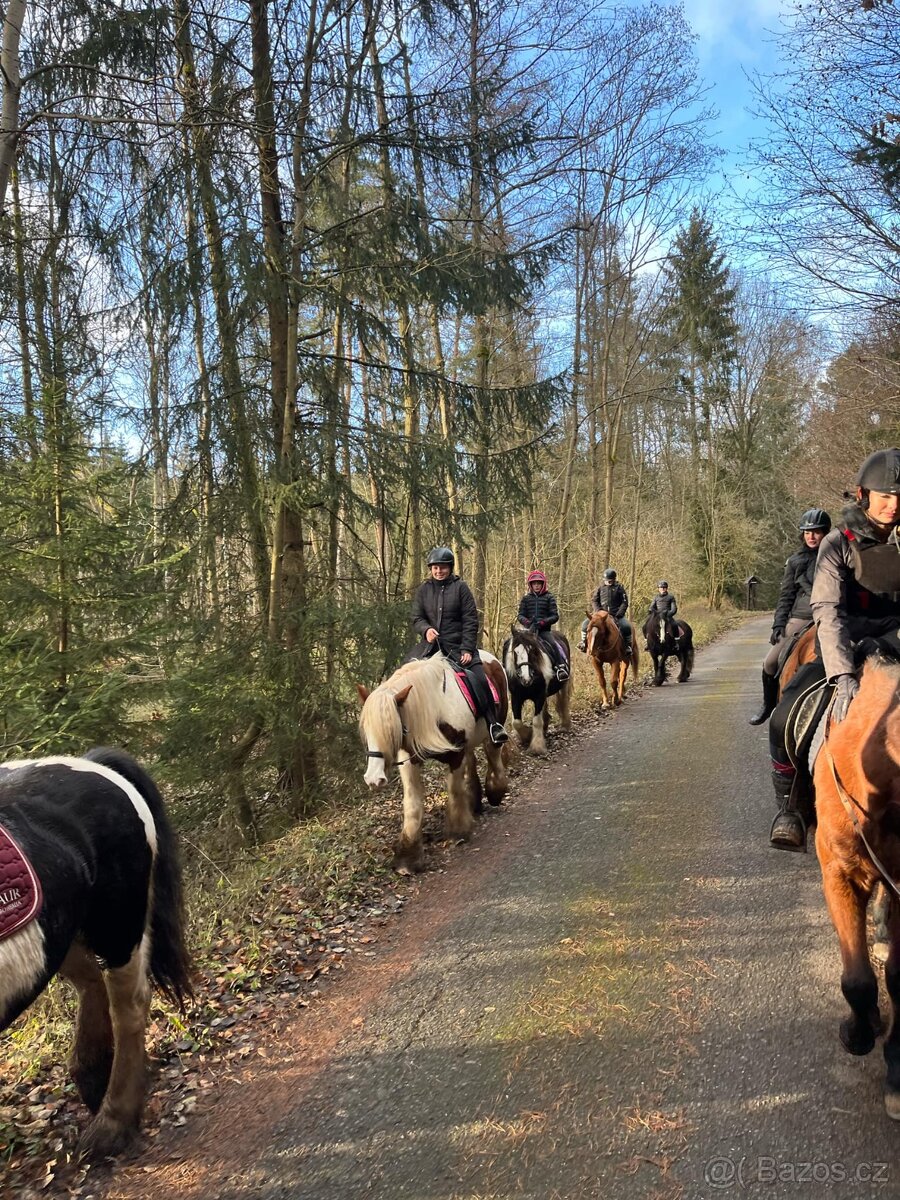 Vyjížďky na koních i ponících - 3