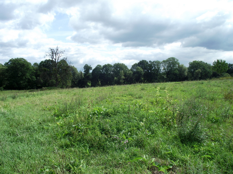 Stavební pozemek 13 700 m² u Hranic na Moravě - 3