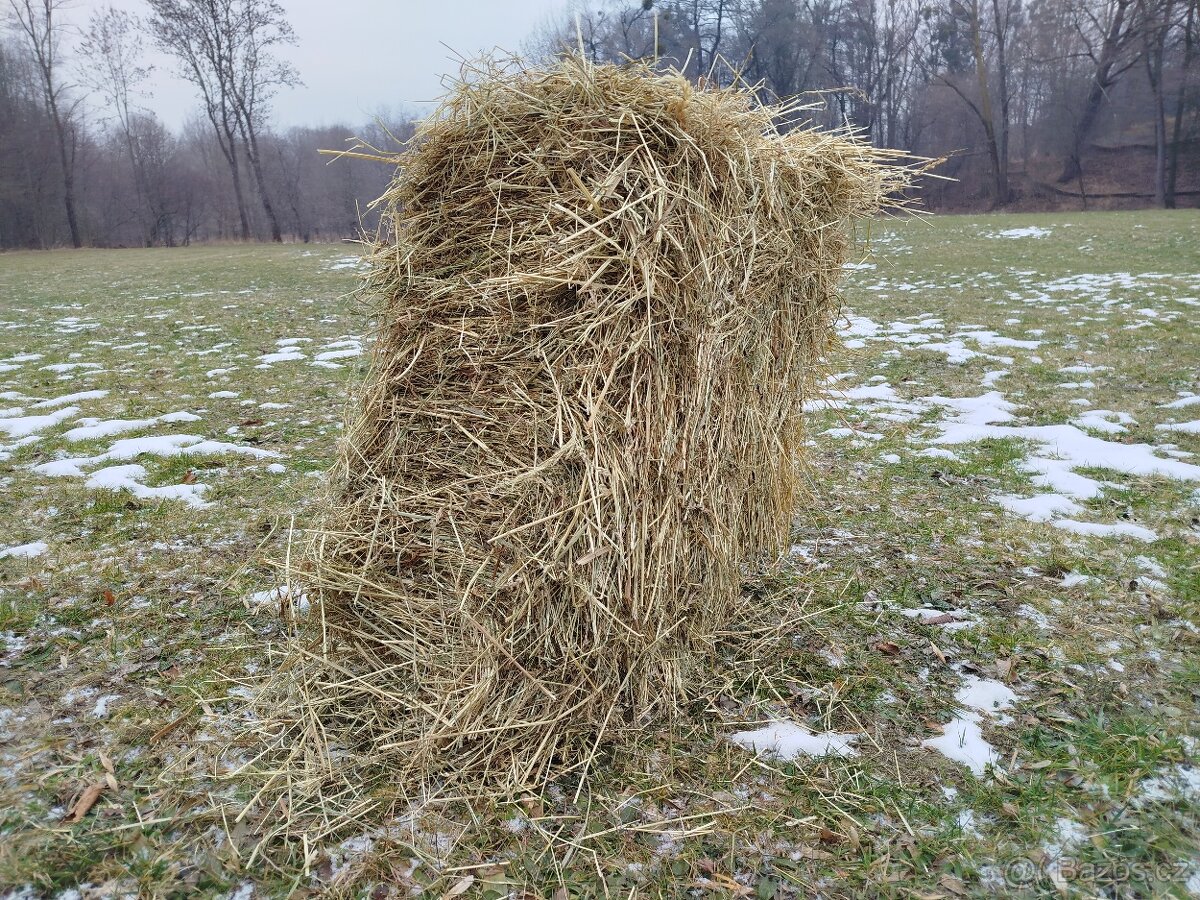 Seno - hranaté balíky - 3