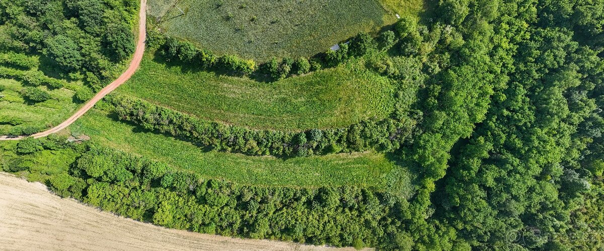 Prodej 1/4 pozemku, Bechlín - 3