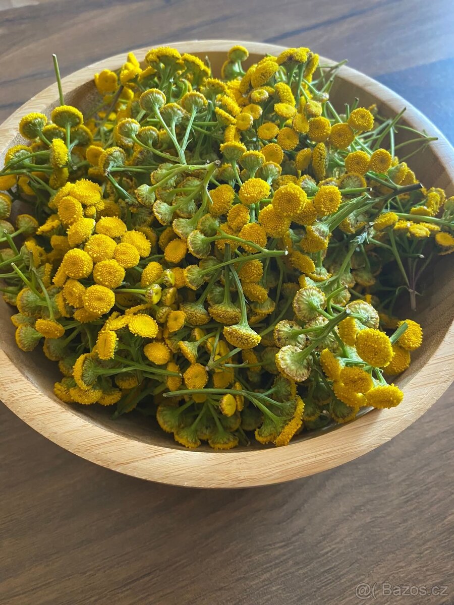 bio mati , konopná , vratičová - 3