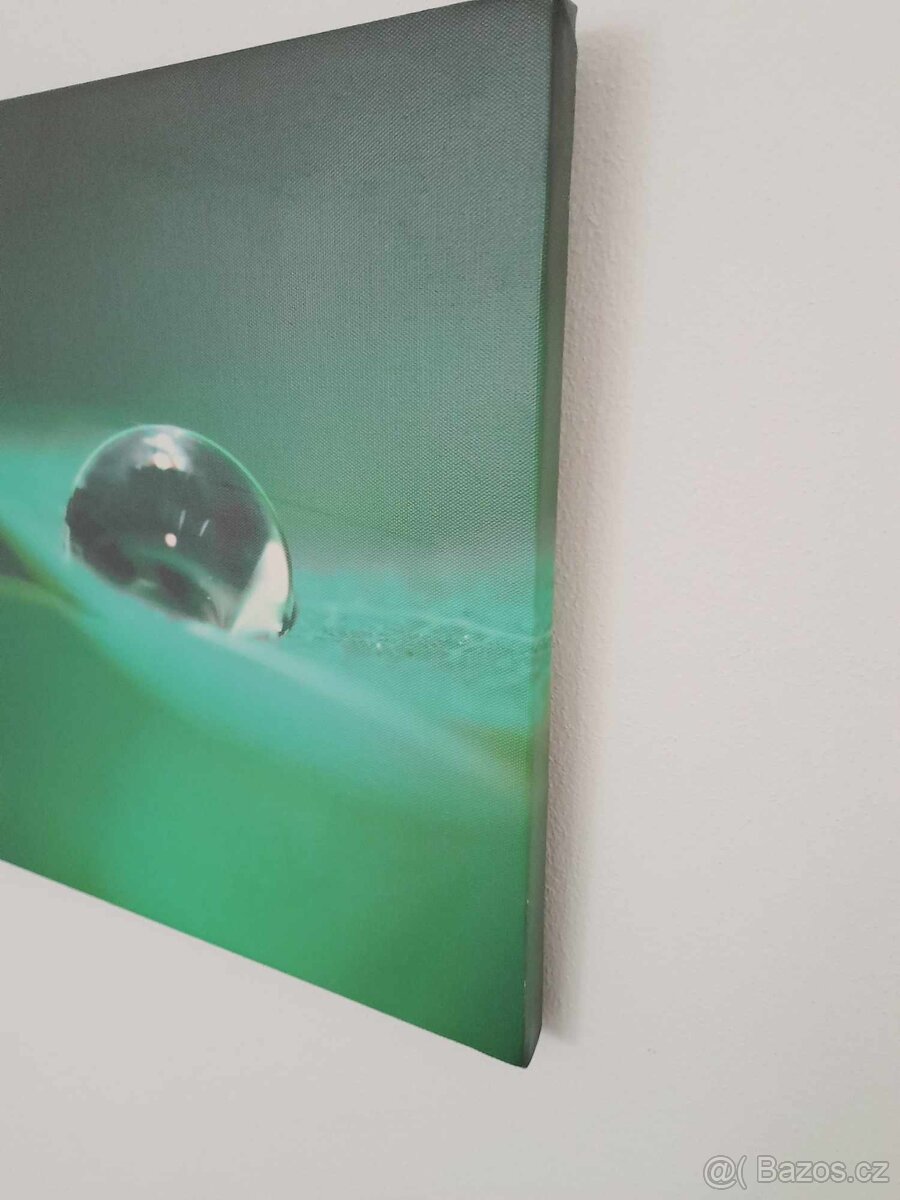 Obraz Kapka rosy - 3