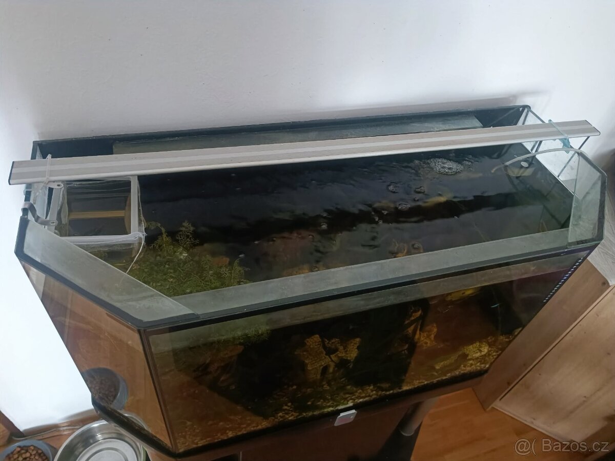 Akvárium - 3