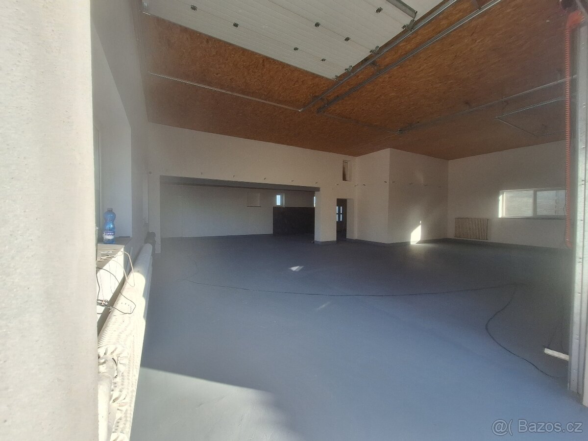 Pronájem - 3