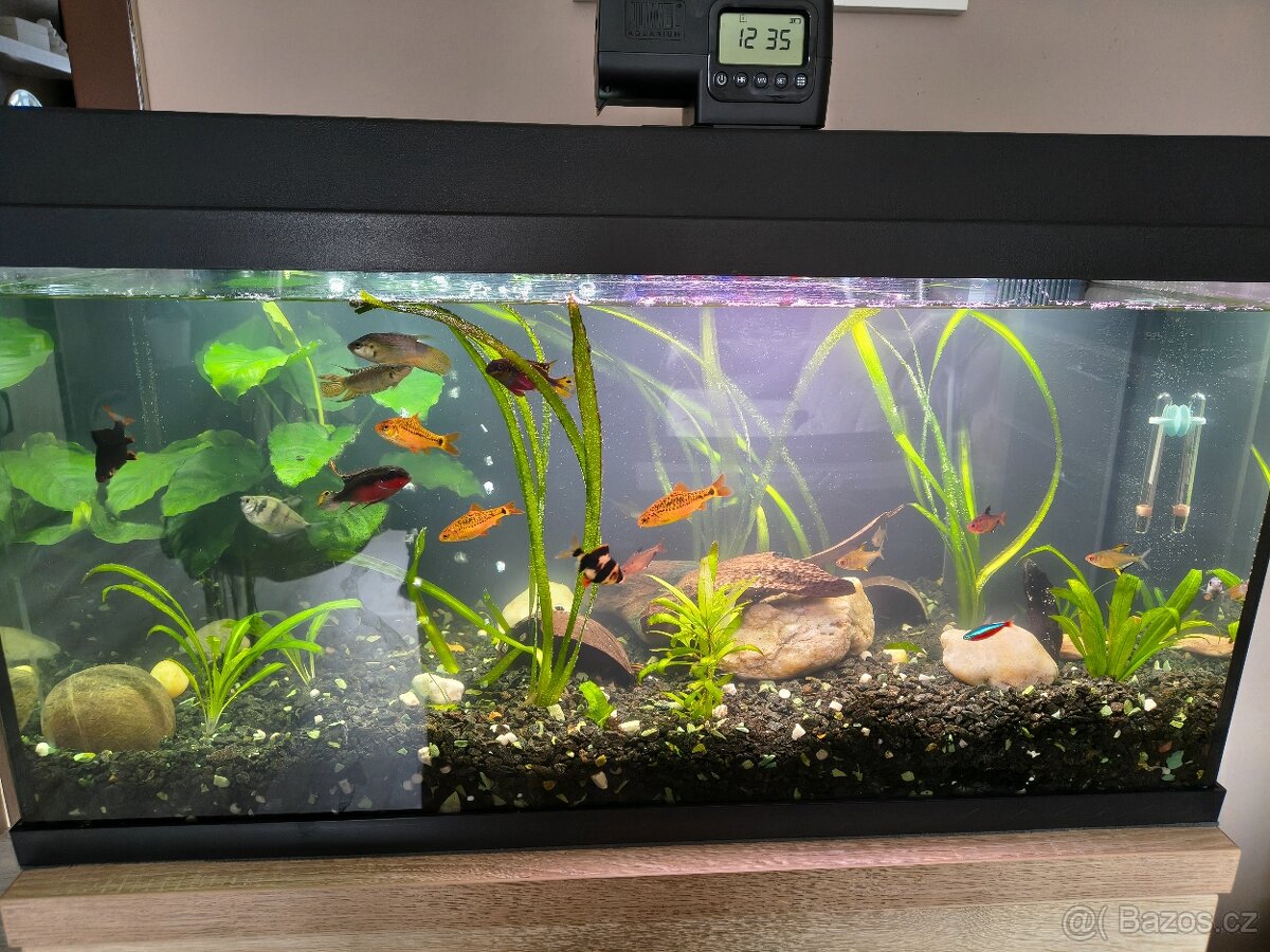 Akvárium Juwel - 3