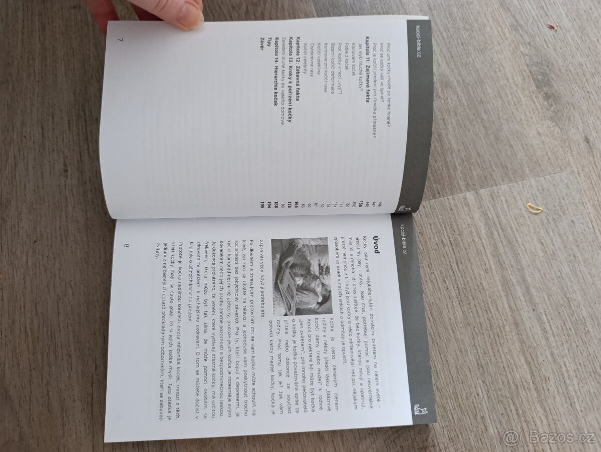 Kočičí bible - Michal Peterka - 3