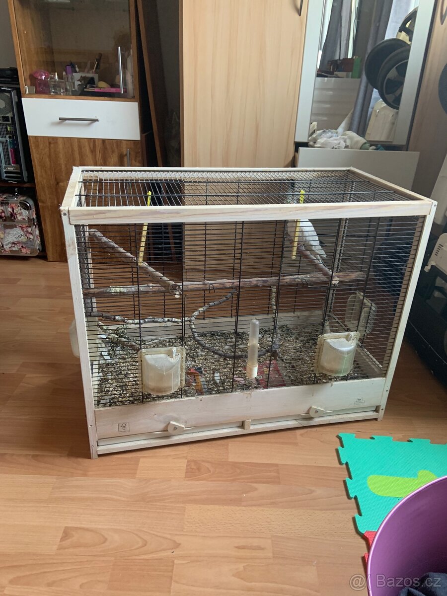 Korely 2 kus a klec k tomu - 3