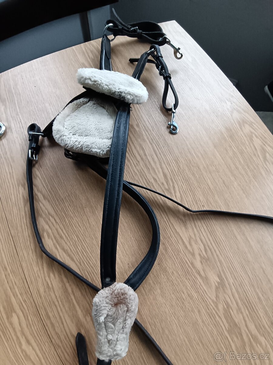 5ti bodový poprsník - 3