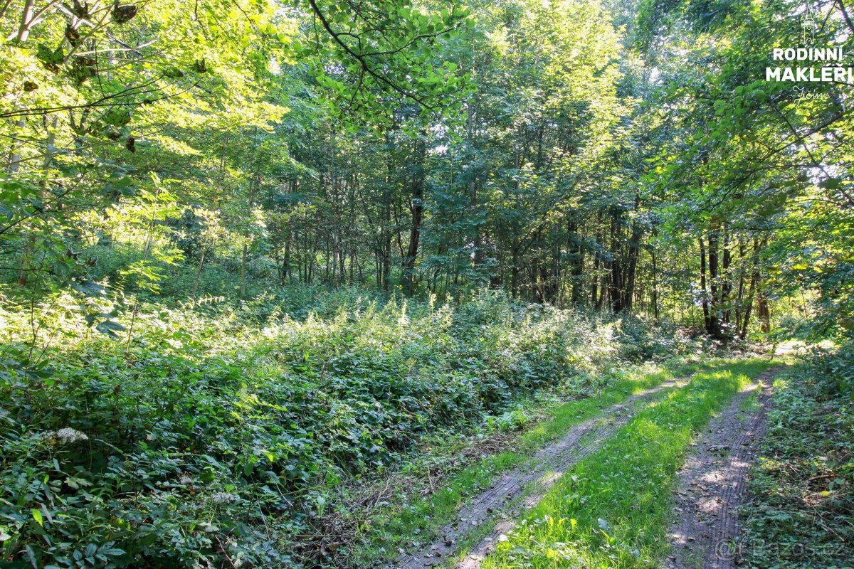 Jestřabí v Krkonoších - 3