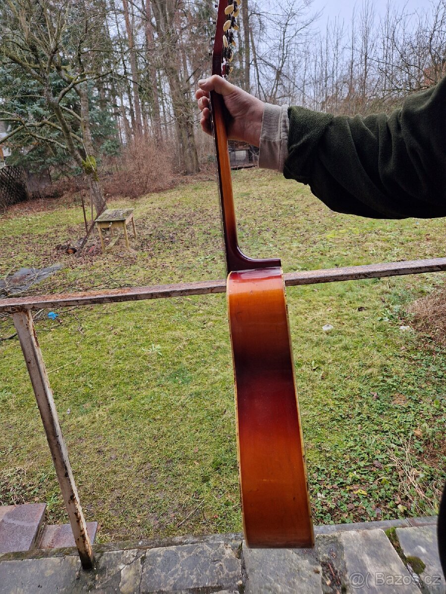 12 strunná kytara - 3