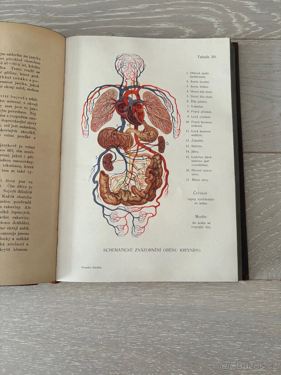 Domácí lékařka - 3