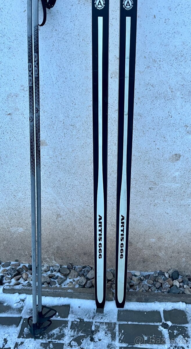 Retro běžky Artis 2x - 3