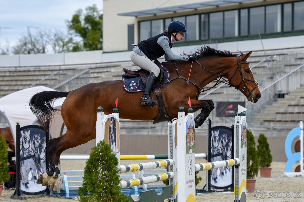 Športová kobyla - 3