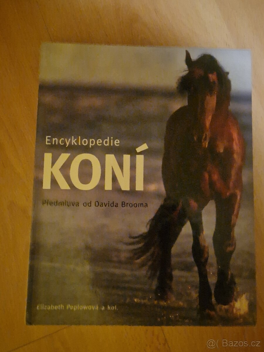 Literatura o Koních - 3