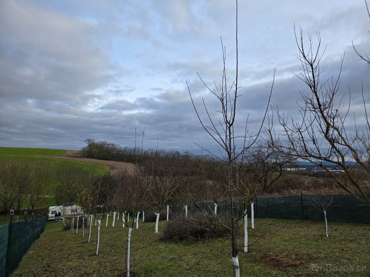 Zahrada s duší pro odpočinek, Vracov u Kyjova - 3