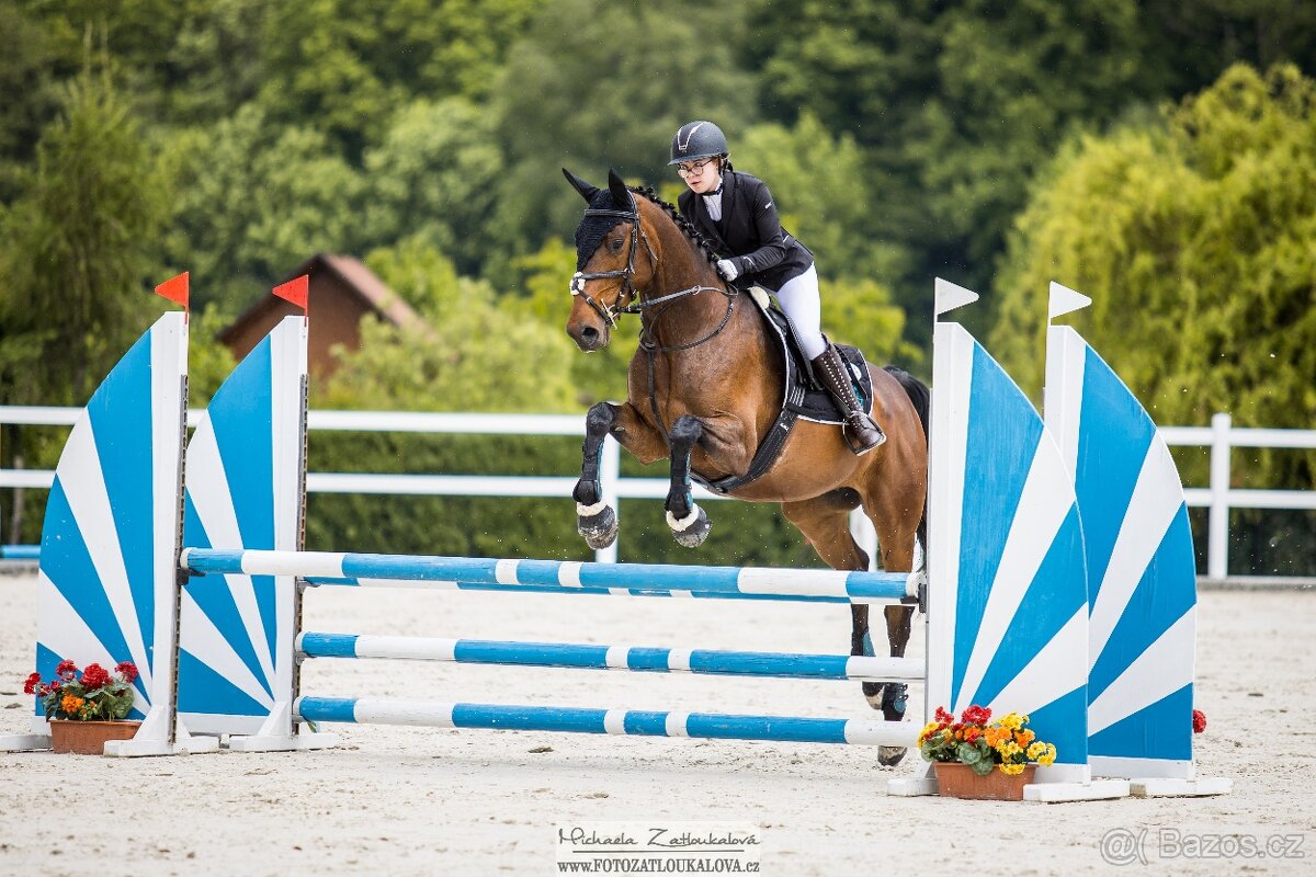 Všestranná klisna - 3