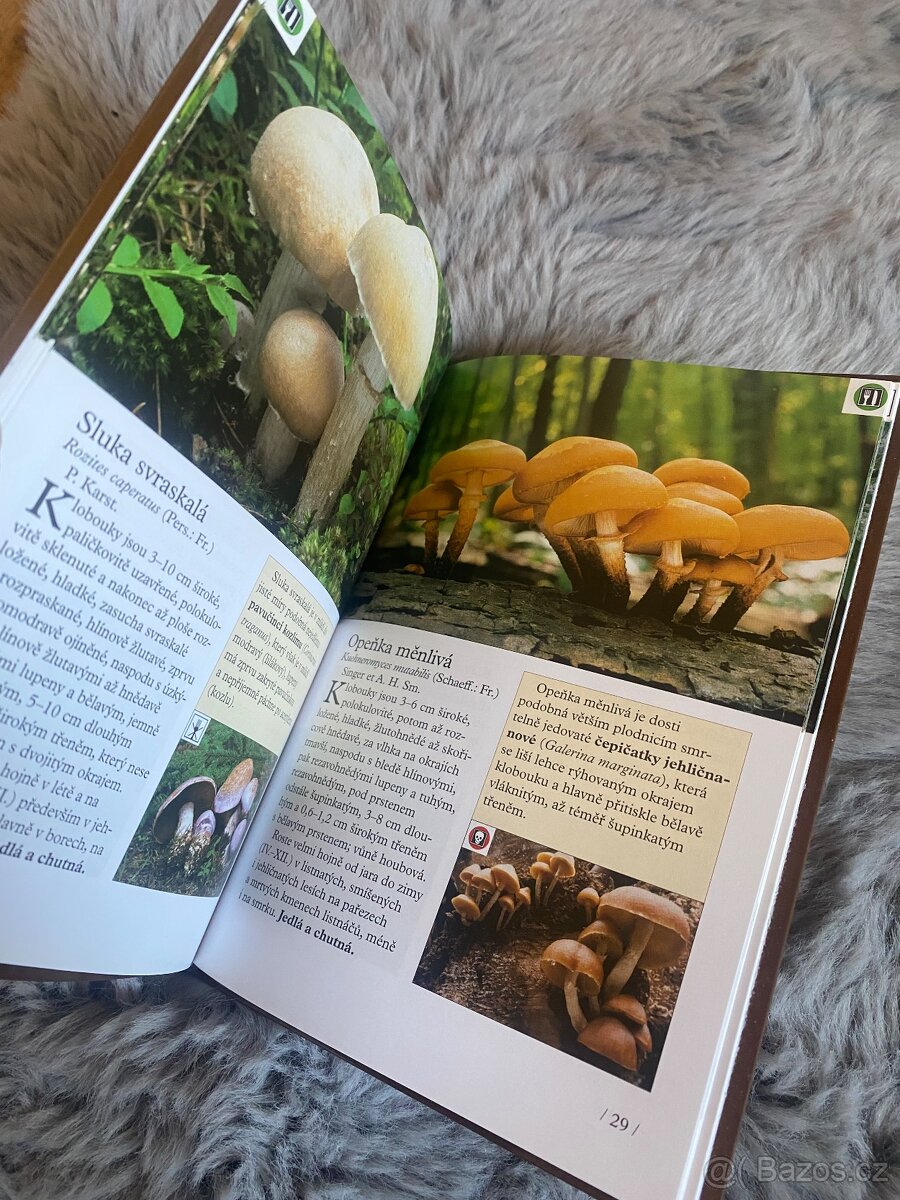 Kapesní atlas hub - 3