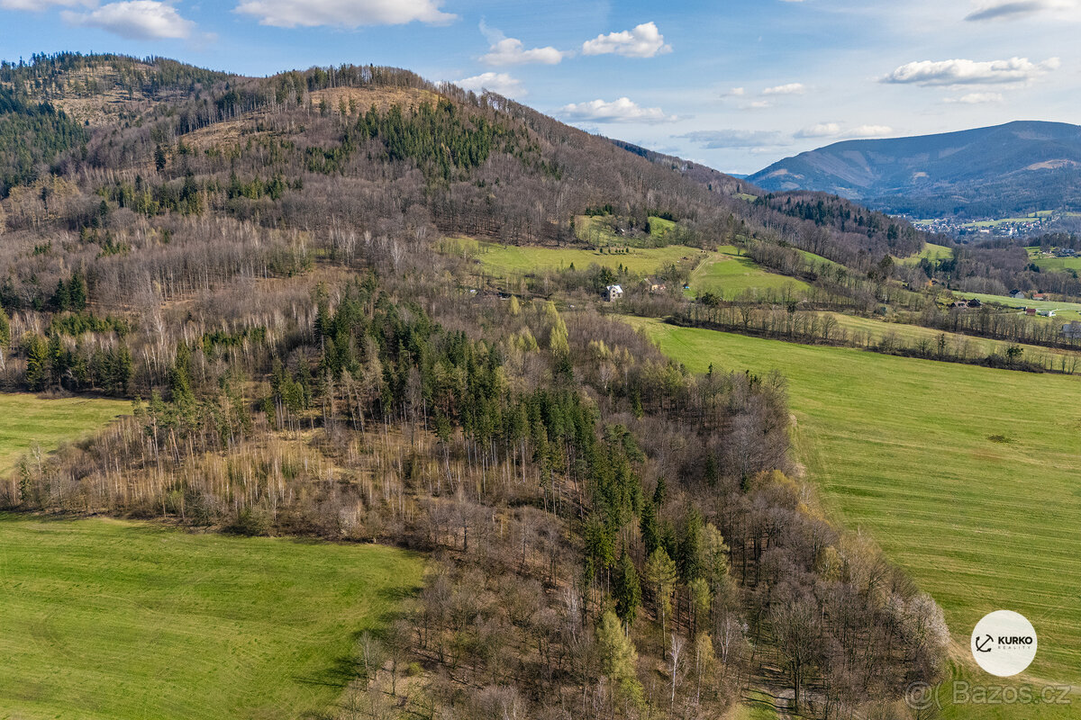Prodej lesního pozemku, 20 736 m², Vyšní Lhoty - 3