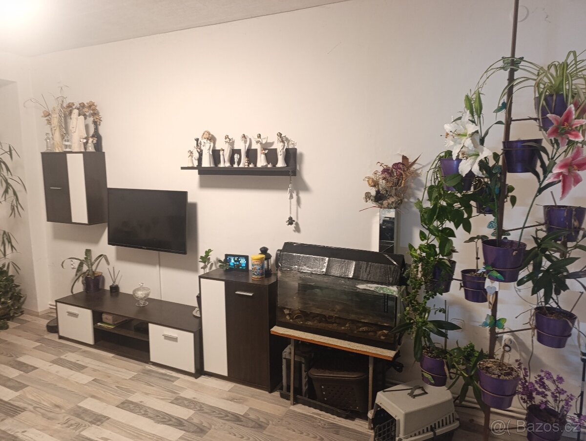 Pronájem bytu 3+1 Hradec Králové - 3