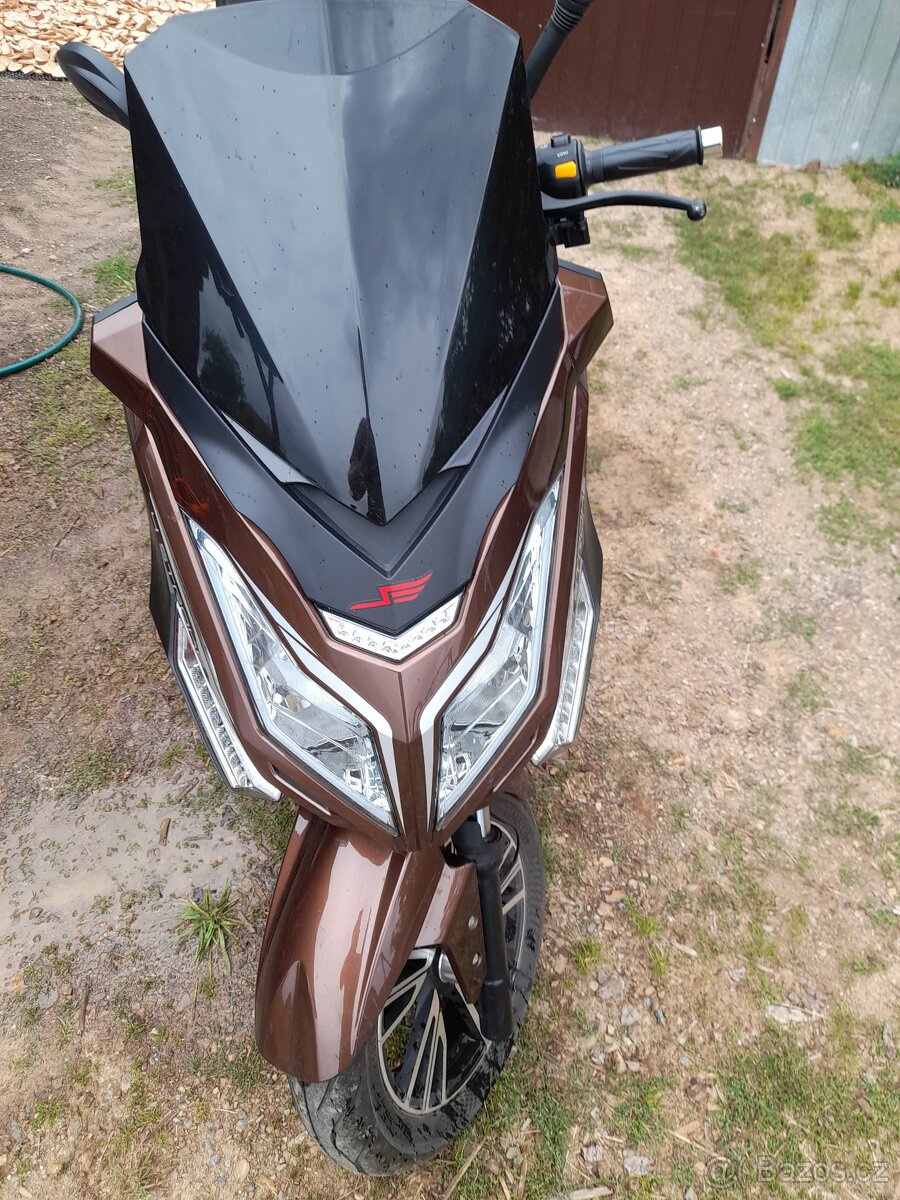 Kentoya maximus 125 - 3