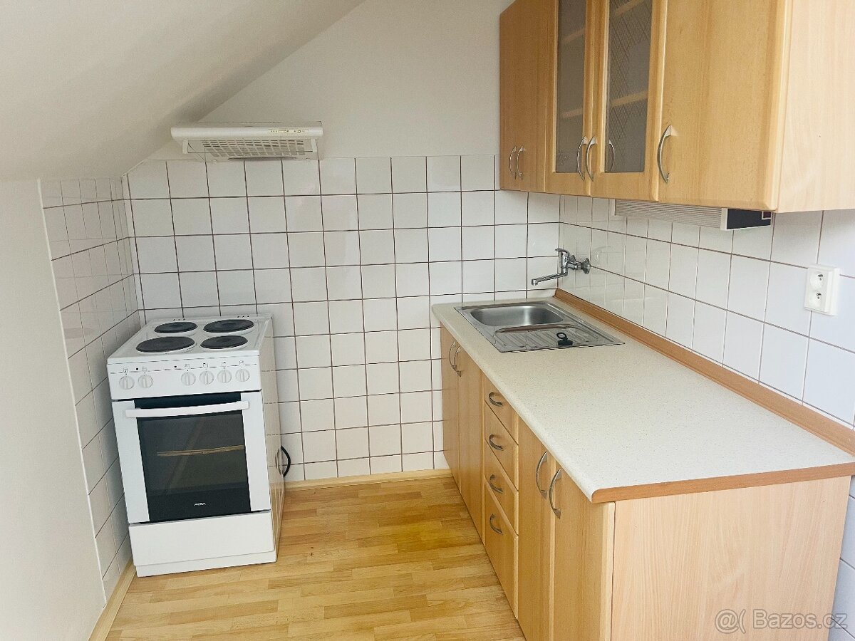 Prodej, byt 2+1, Hromnice - Žichlice, Plzeň - sever - 3