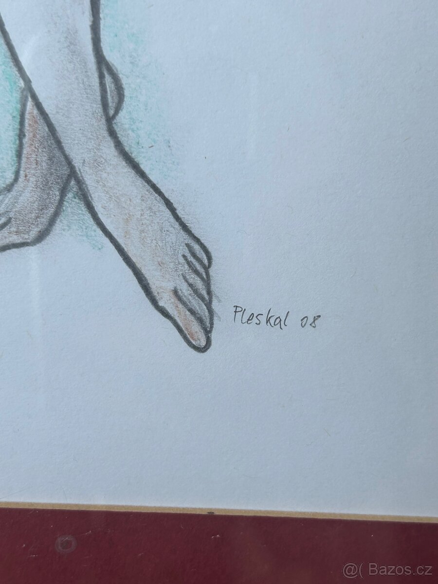 Soubor 20 obrazů autor Jaroslav Pleskal - 3