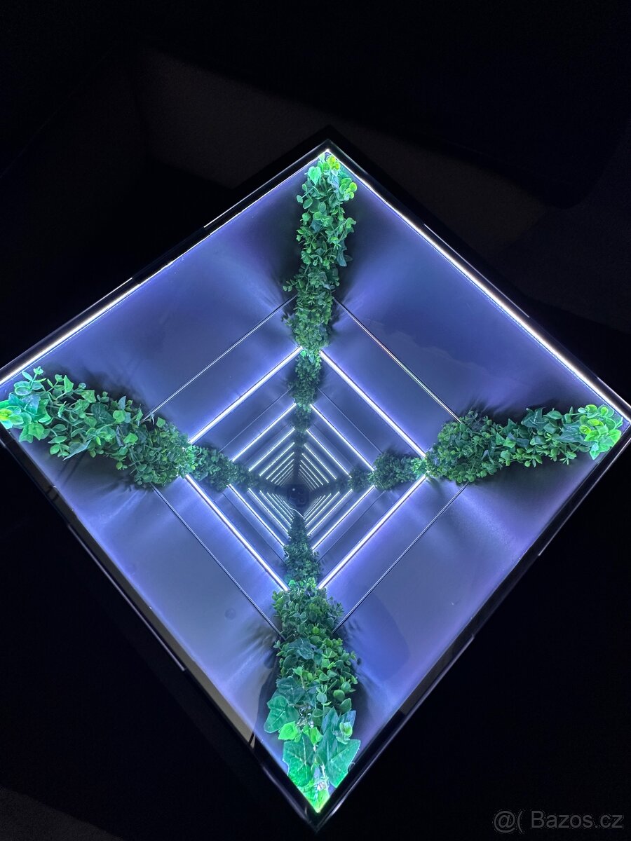 Aurelia Infinity - 3