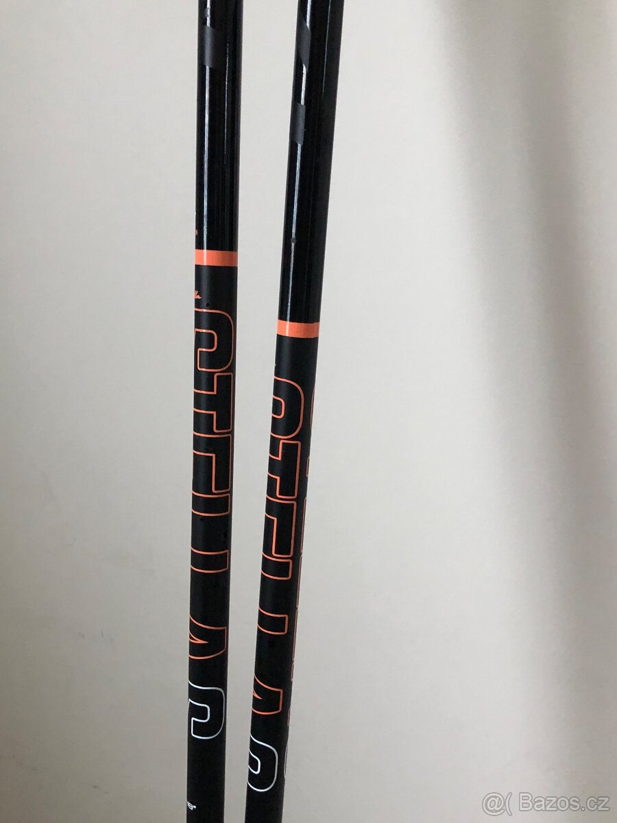 Lyžařské hůlky - 3