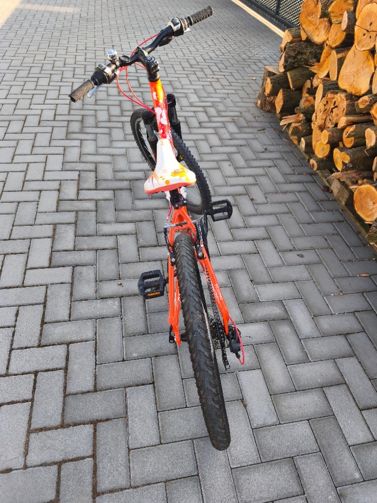 Dětské kolo Superior Paint 24 - 3