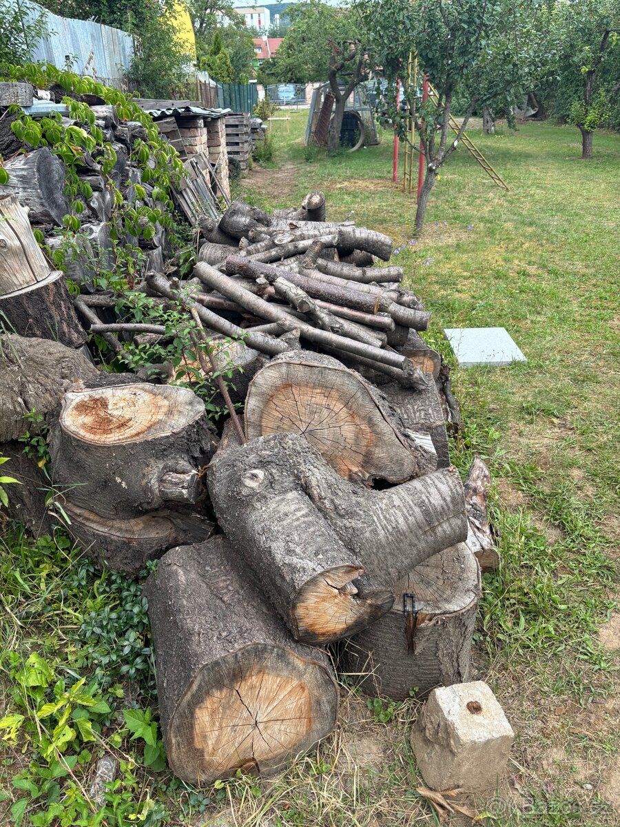 Třešňové dřevo - 3