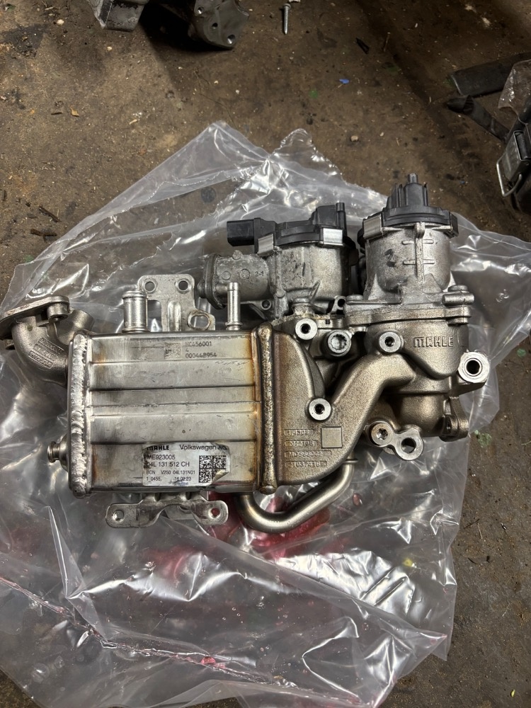 EGR VW T6 110 kw - 3