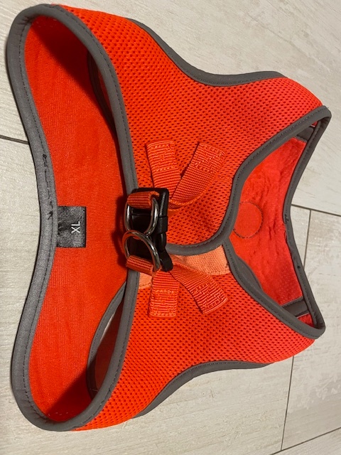 Postroj na psa_Dog Fantasy Puppy XL - 3