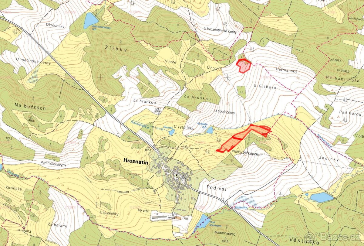 Zemědělská půda, prodej, Hroznatín, Třebíč - 3