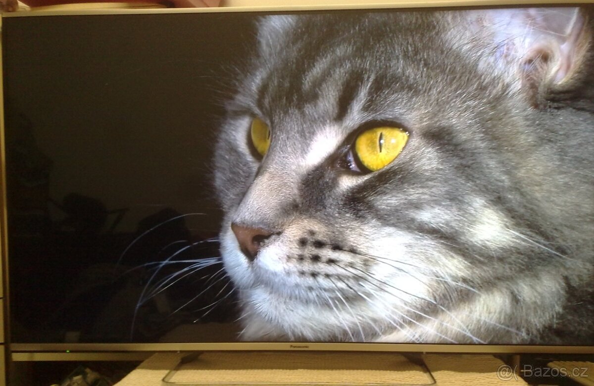 Prodam 140cm(55") ,SMART WiFi LED FullHD TV Panasonic TX-55 - 3