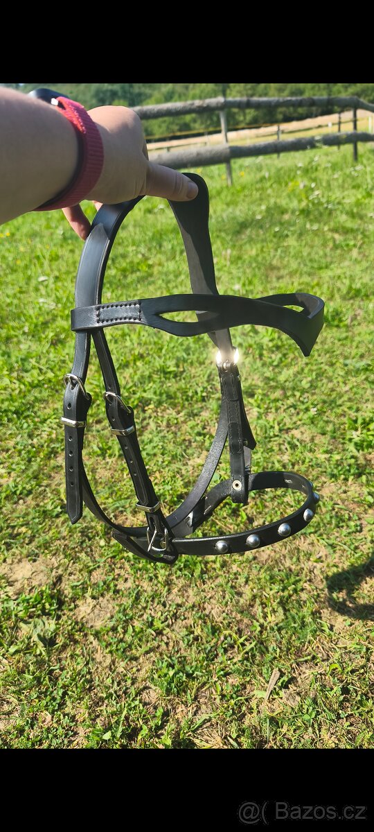 Karabina, pobočnice - 3