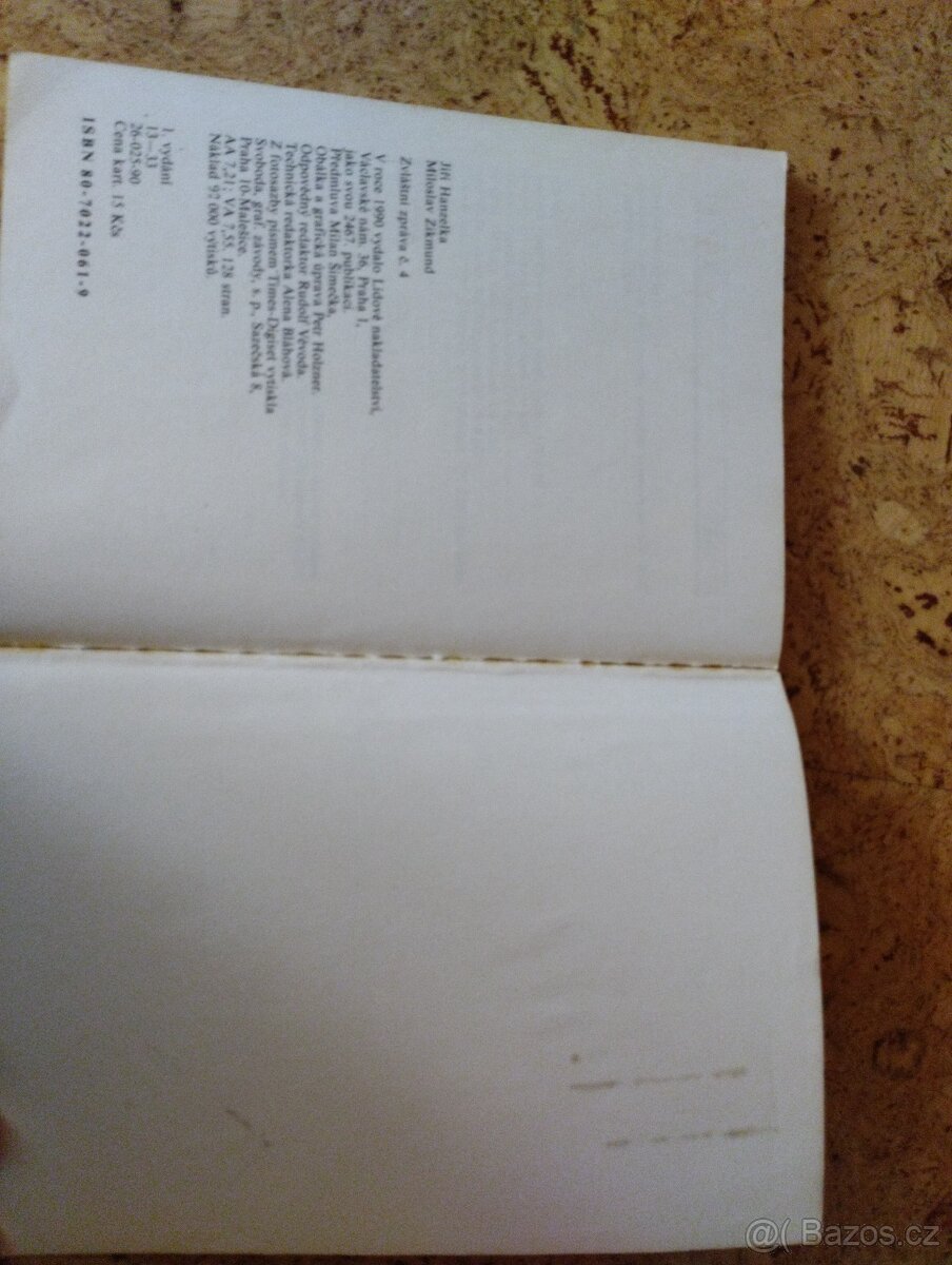 Zvláštní zpráva č. 4 - 3