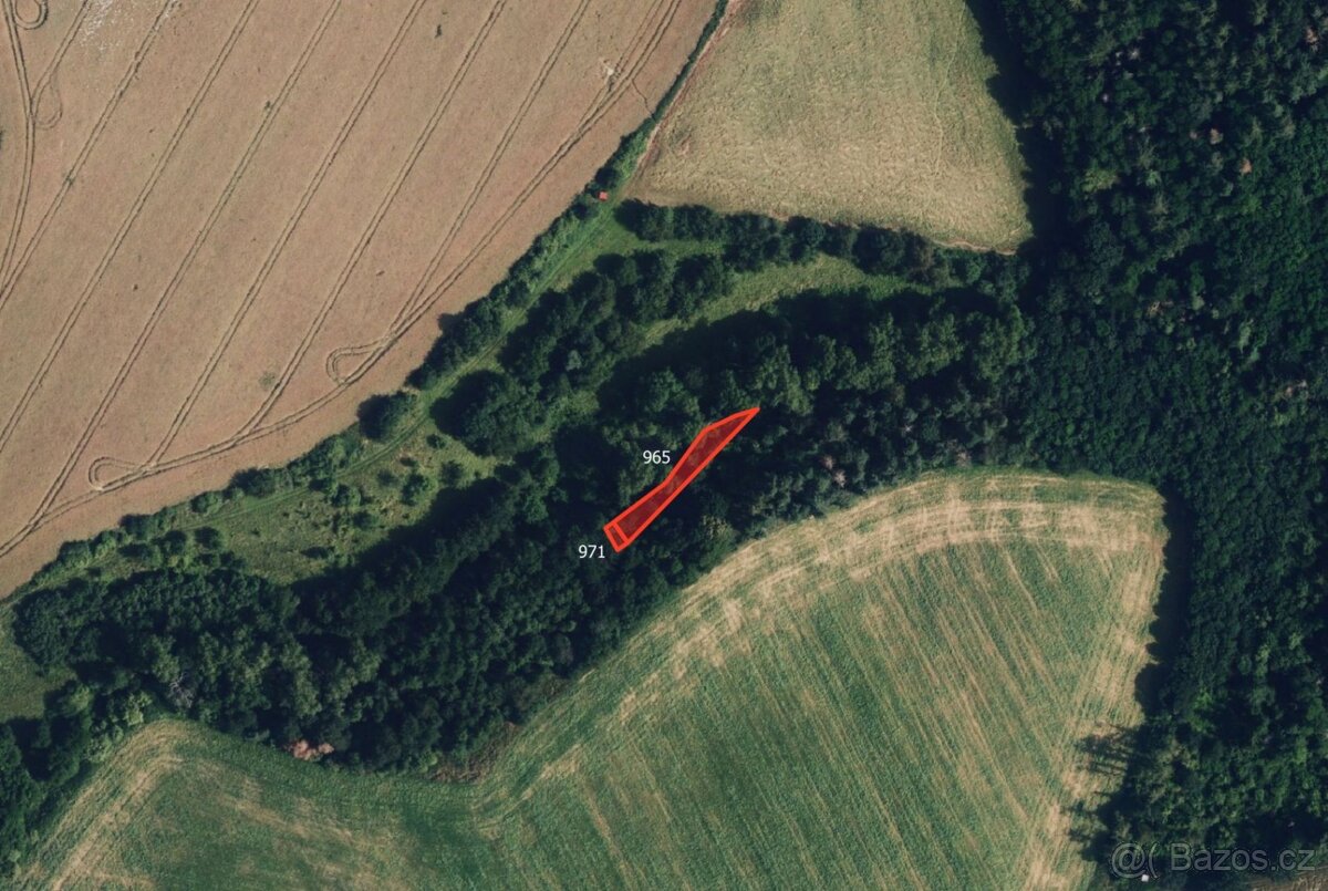 Zemědělská půda, prodej, Určice, Prostějov - 3