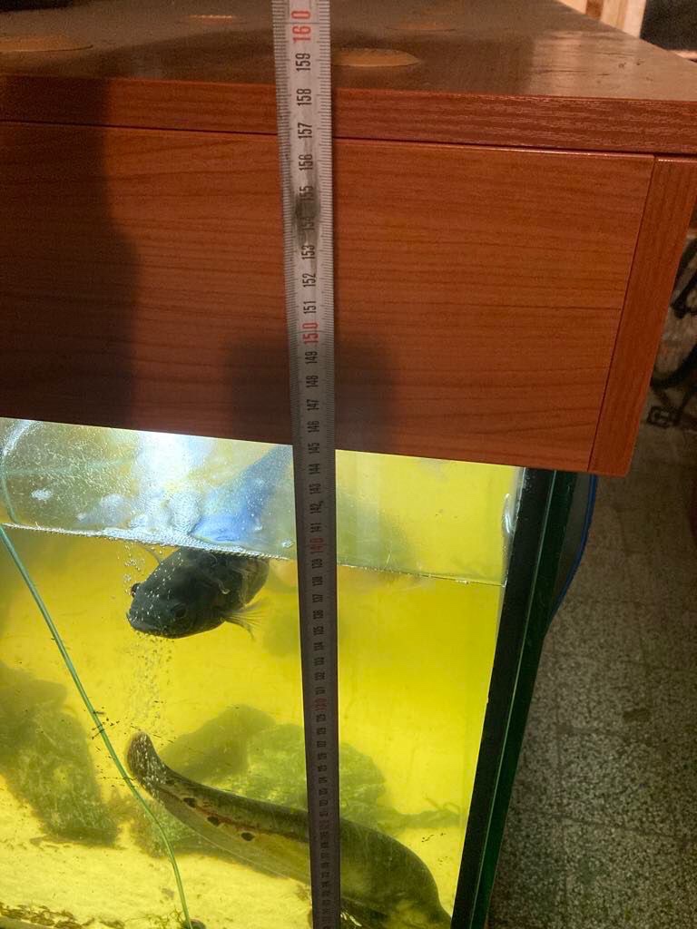 Velké akvárium s filtrací a skřínkami - 3