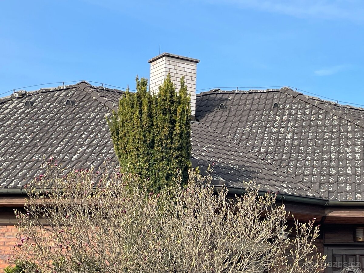 Mytí , čištění , renovace - 3