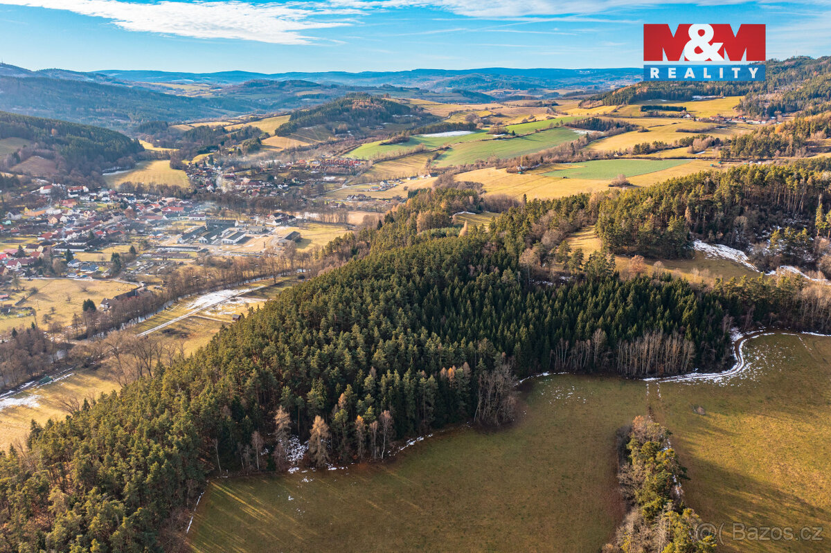 Prodej lesa, 13448 m², Malenice - 3