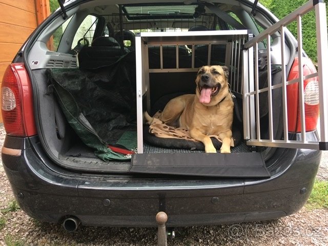 KLEC/PREPRAVKA PRE DVOCH PSOV - 3