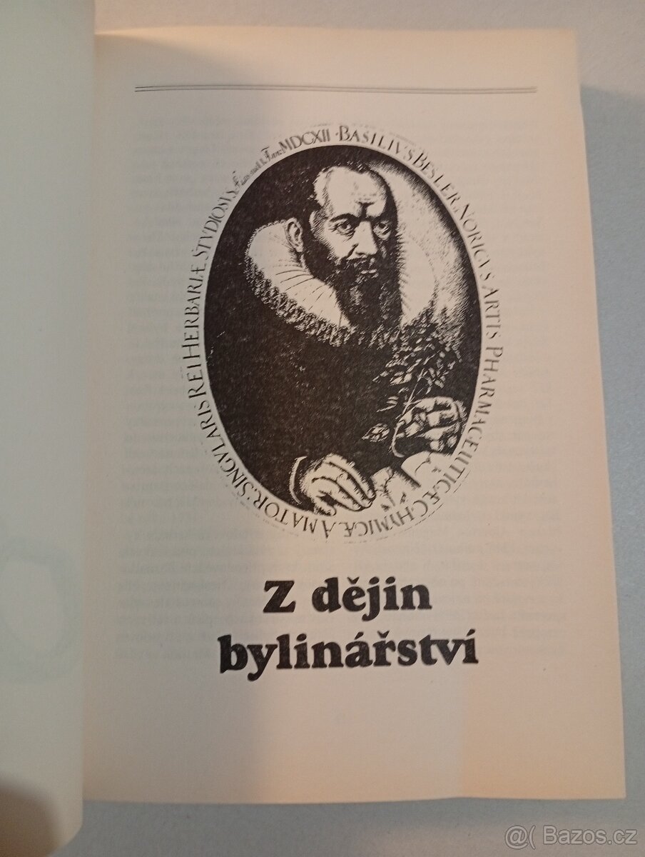 Rostliny v domácí lékárně - 3