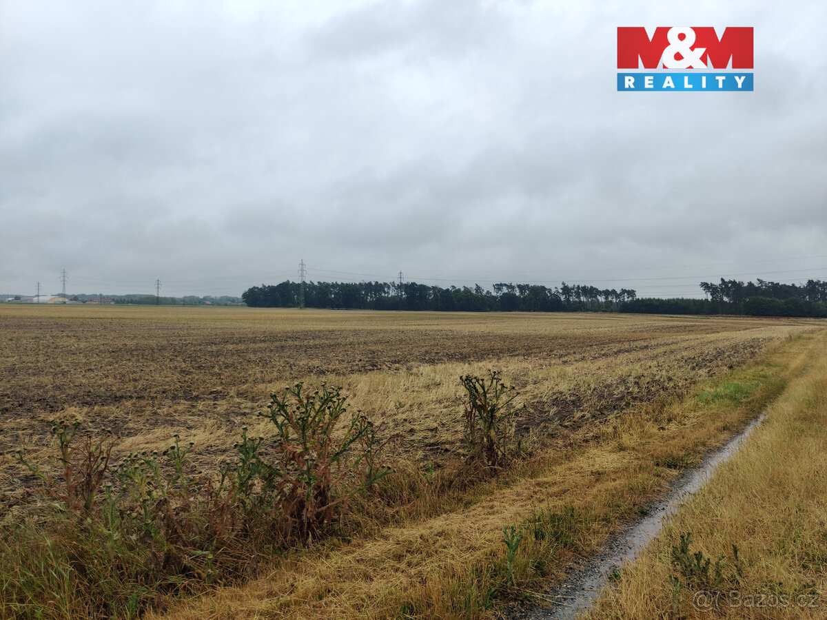 Prodej pole, 12454 m², Veletov - 3