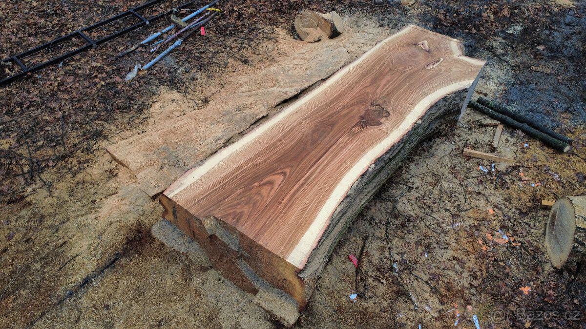 pořez kmene přenosným katrem - 3