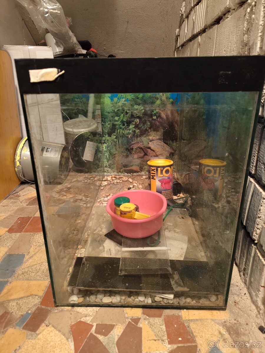 Velké akvarium - 3