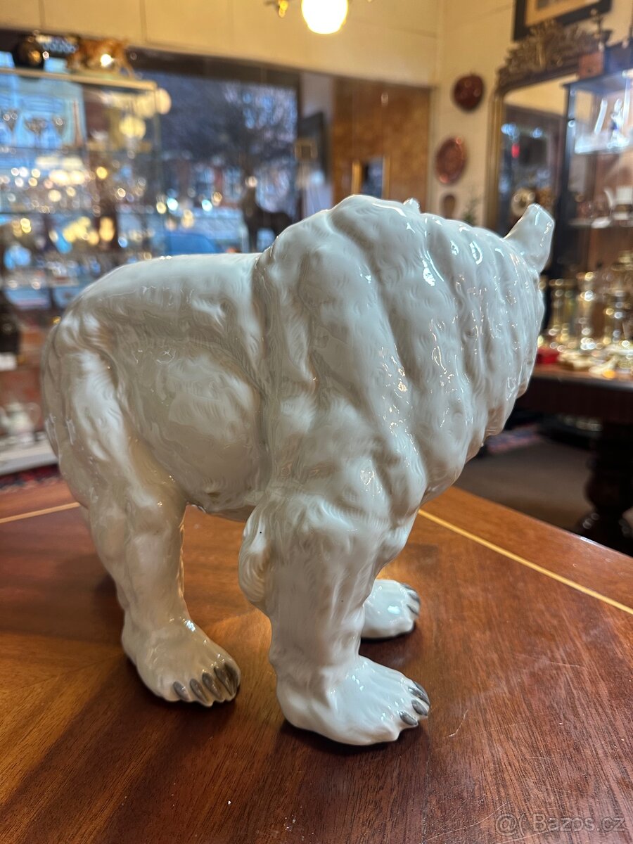 Lední medvěd Haas & Czjzek 1932 - 3