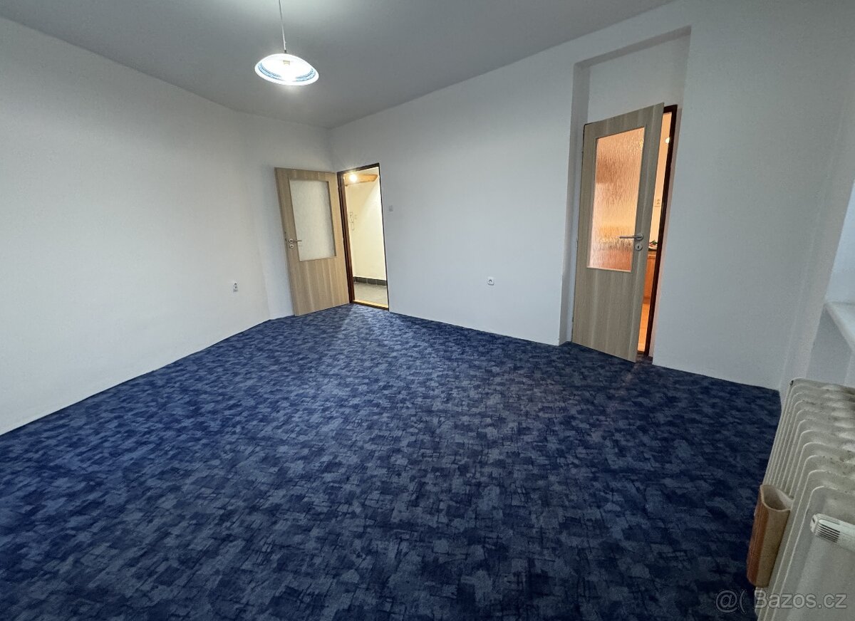 Nadstandardní 1+1, Hradec Králové - Malšovice - 3